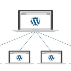 Convierte tu pagina de Wordpres simple a un multisitio de WordPress